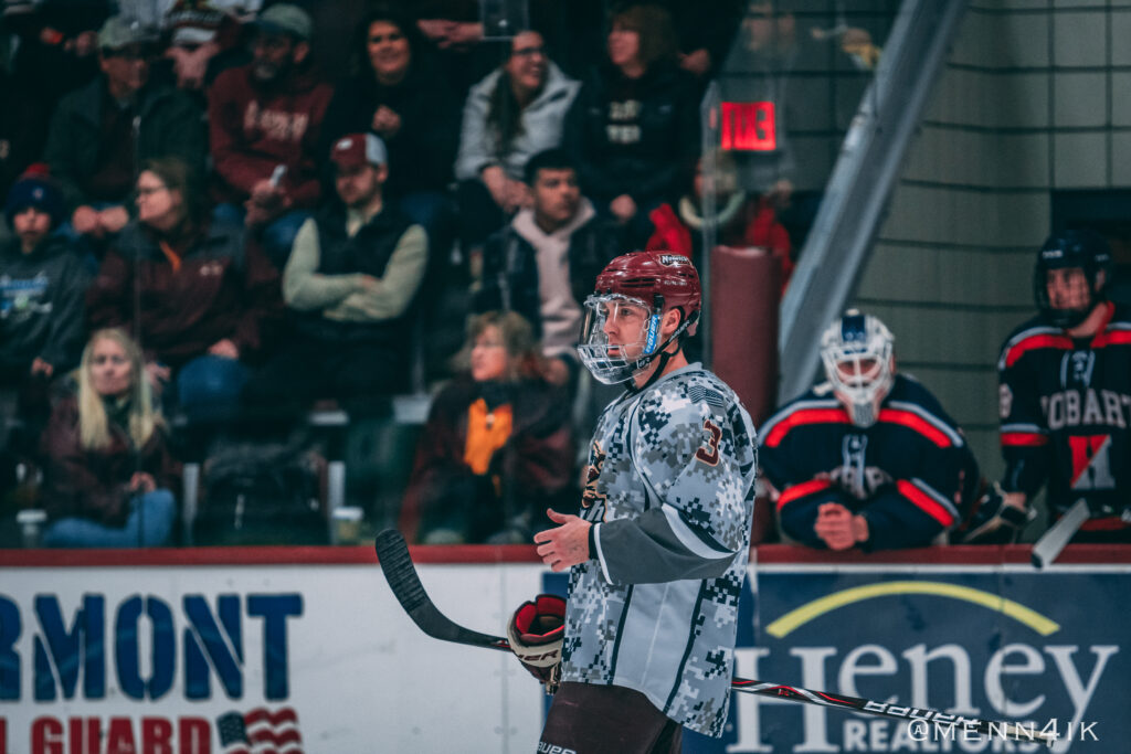 Best Hockey Advisors for Home Players